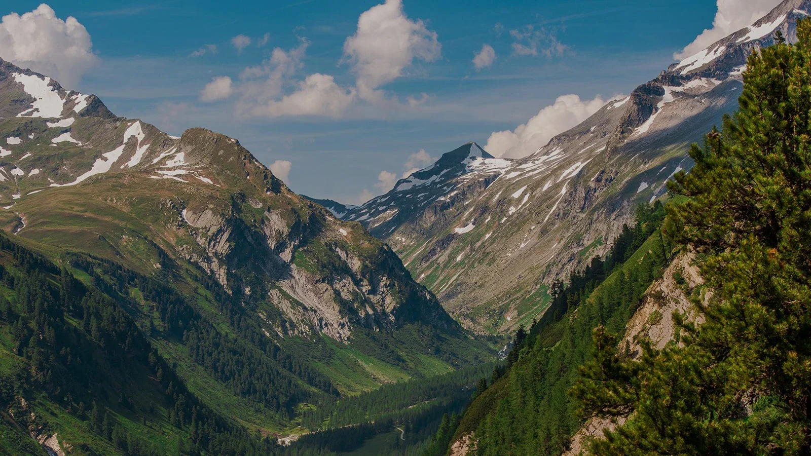 Echtes Holz mit Herz