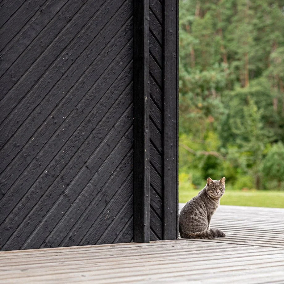 Fassade Fichte Kurosawa - Image 8