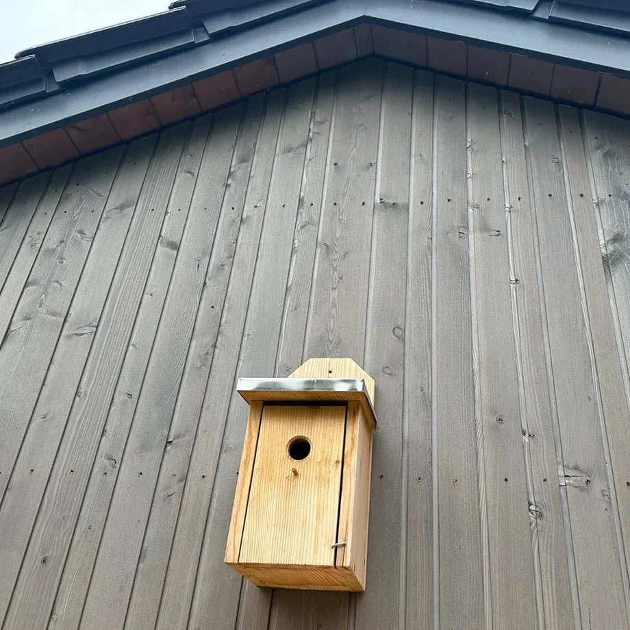 Fassade Lärche Saga Grey Skógur - Image 3