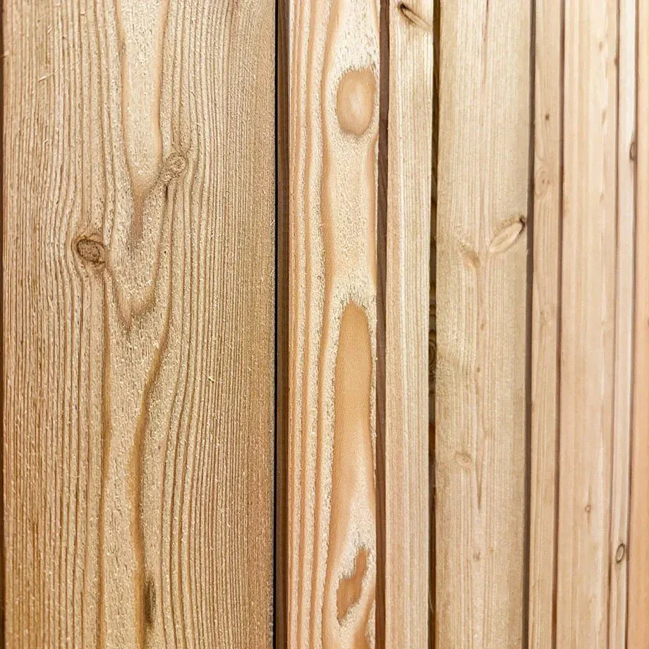 Fassade Lärche Skógur - Image 3