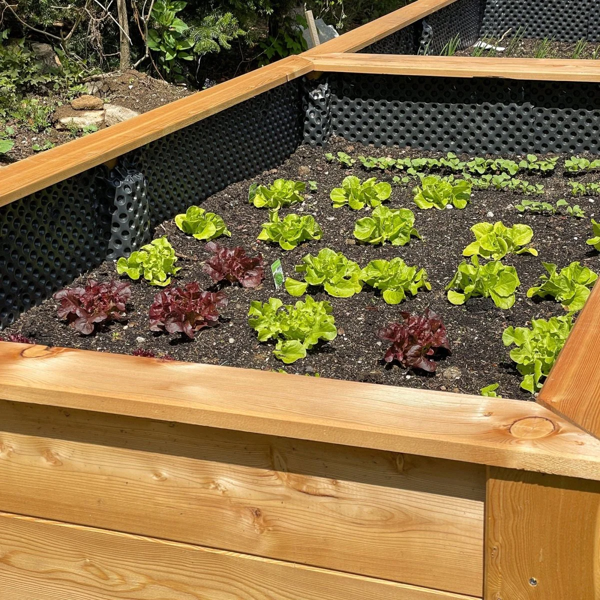 Hochbeet Lärche Praktiker - Bausatz - Image 4