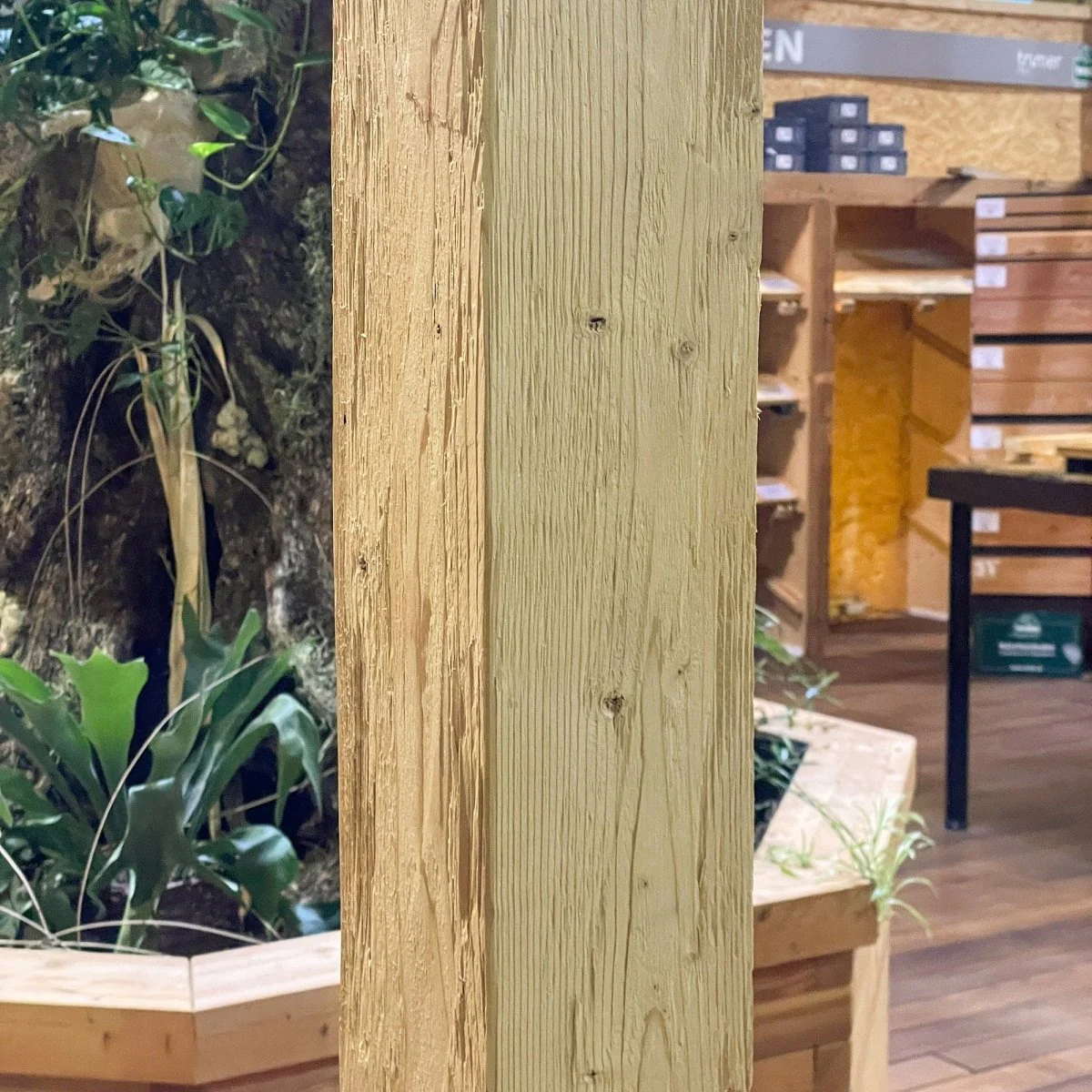 Schalenbalken gedämpfte Fichte gehackt - Image 4