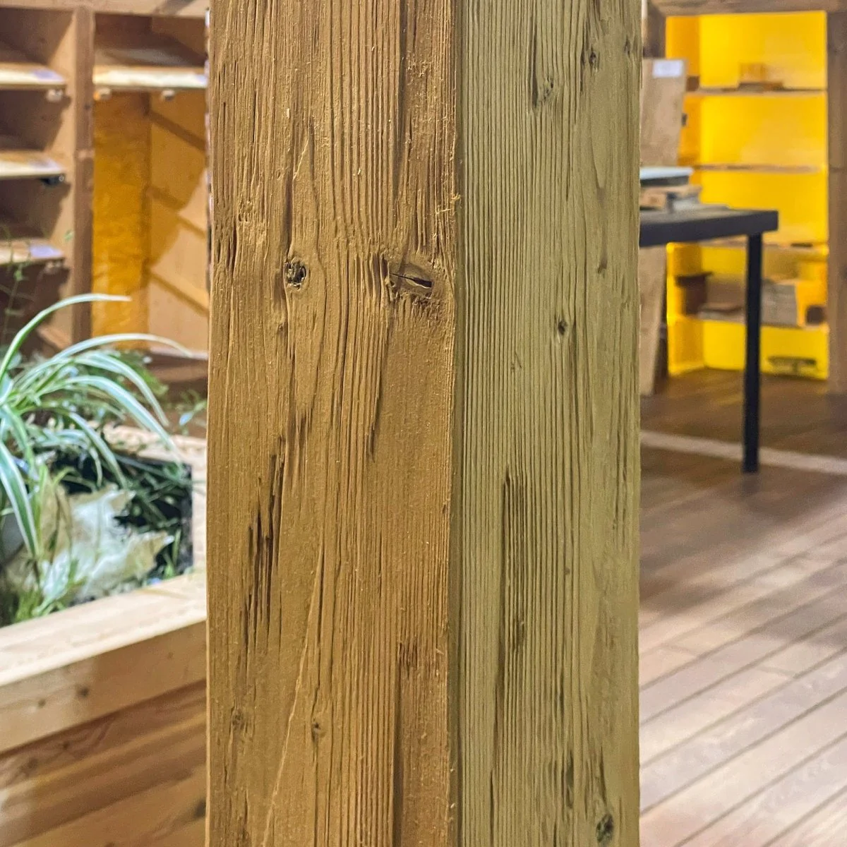 Schalenbalken Thermofichte gehackt - Image 4