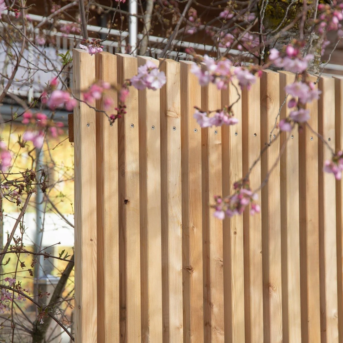 Sichtschutz Lärche Untersberg - Image 4