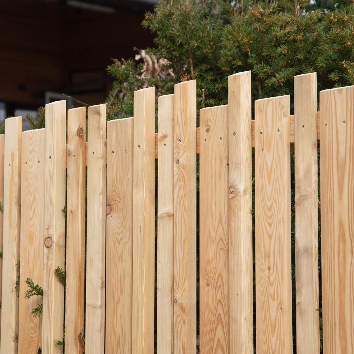 Sichtschutz Lärche Zwölferhorn - Image 4