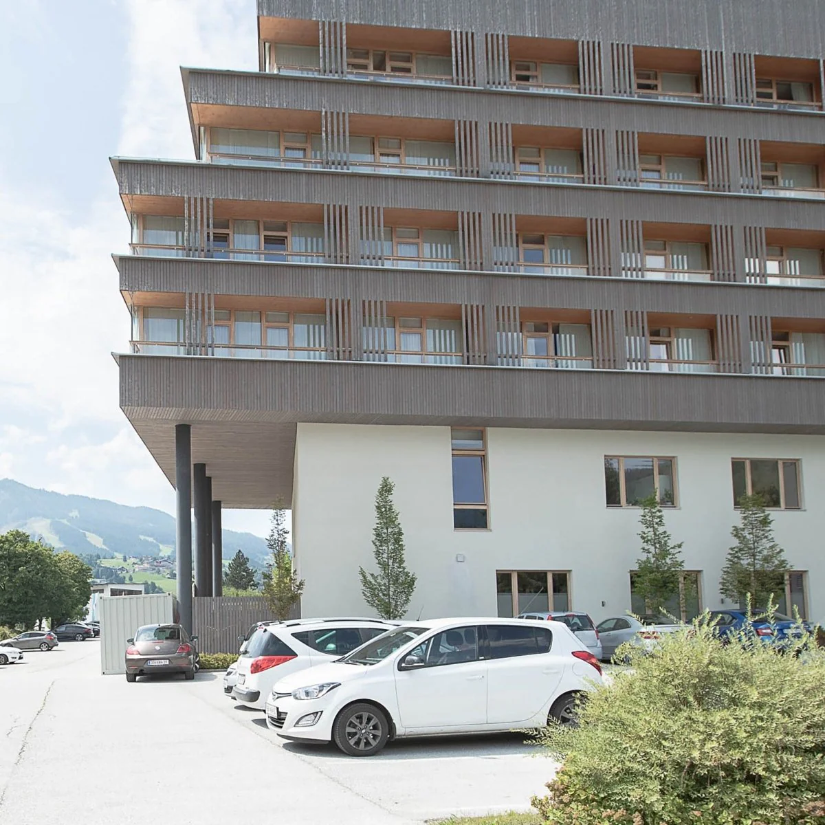 Fassade Lärche Rhombus - Image 3